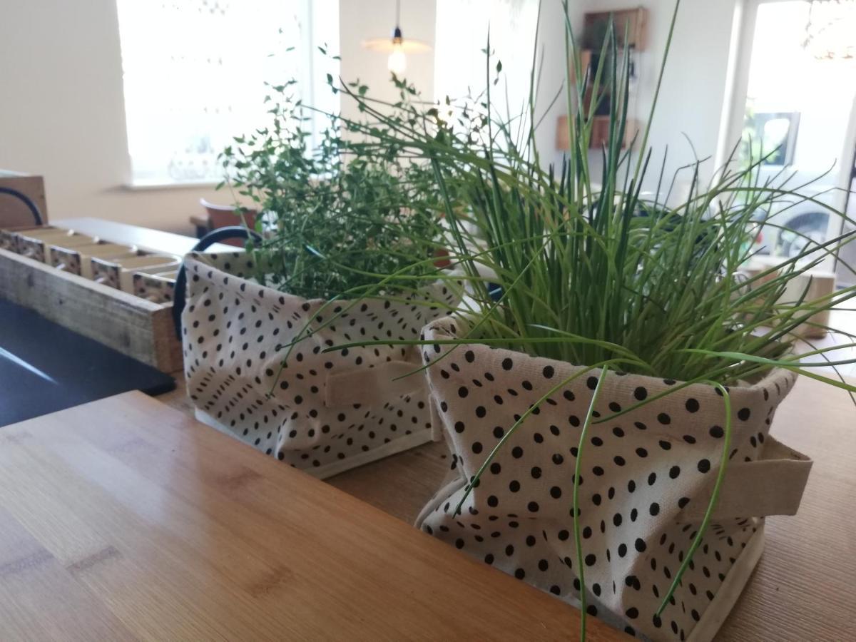 Vakantiewoning-Deblinker Sint-Laureins Exteriör bild